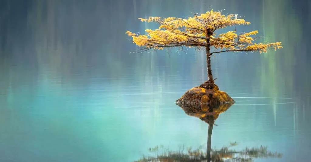 Redefining Perfectionism: Embracing Imperfection and the Process of Life