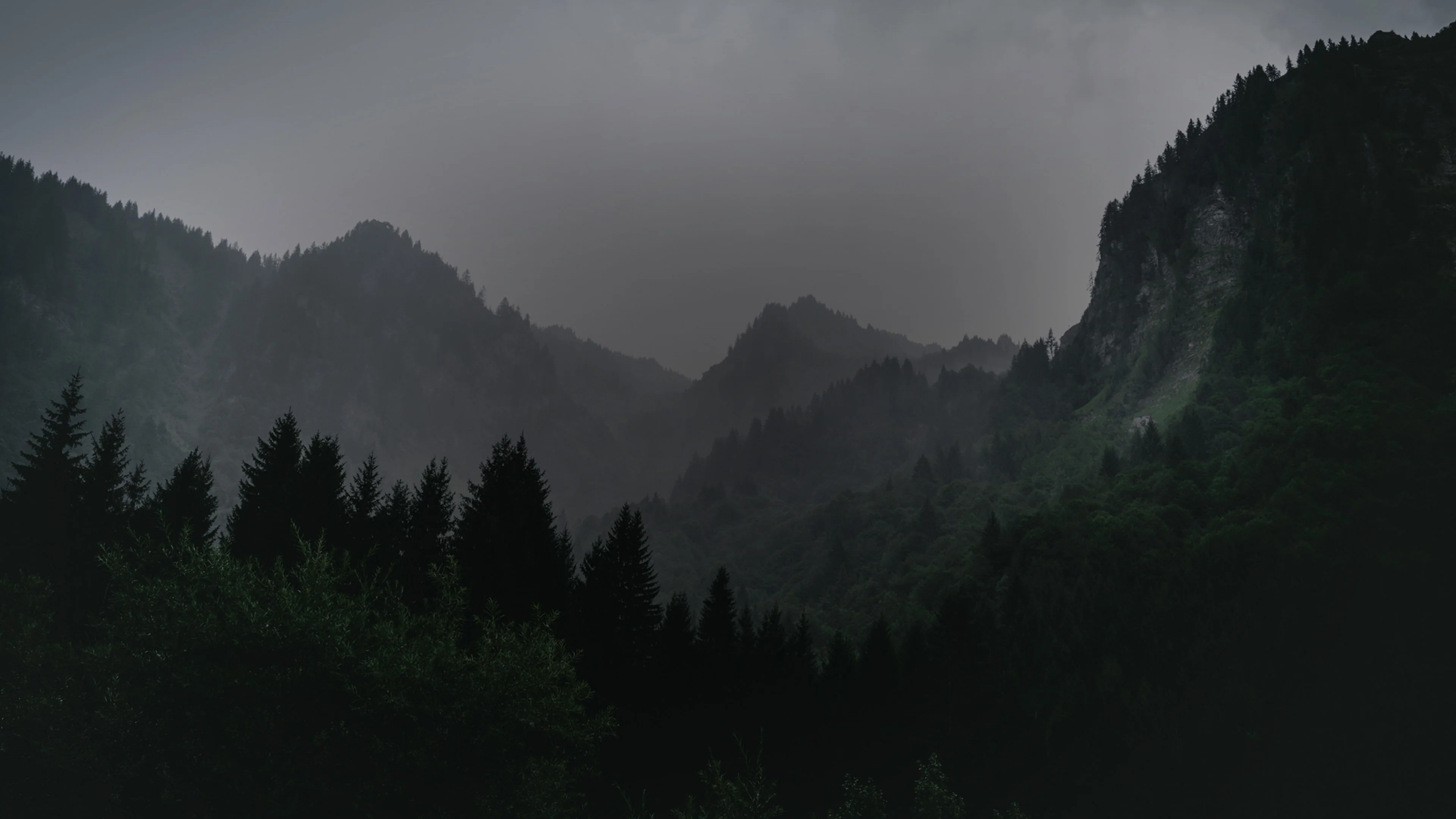 Misty mountain landscape representing growth